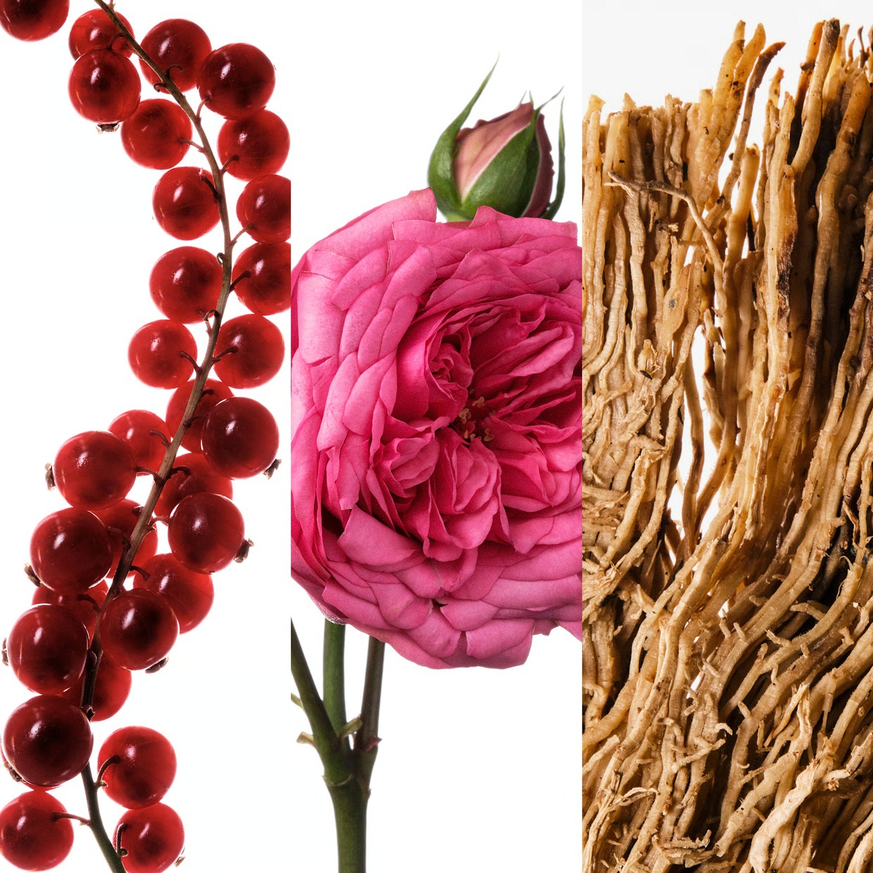 Carolina Herrera Very Good Gir - огляд і ціна Good Floral & Wedding Decor Supply